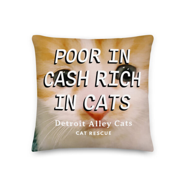 Rich in Cats Pillow