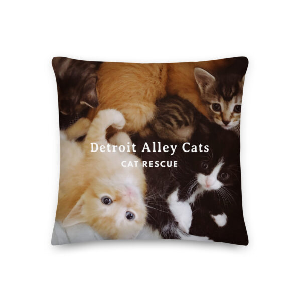 Baby Kittens Pillow