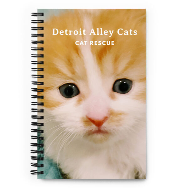 Baby Kitten Journal