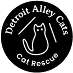 Detroit Alley Cats